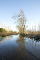 Park do caminho fundo,Portugal.