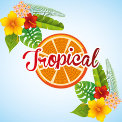 tropical paradise design 
