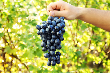 Man holding grape in his hands outside