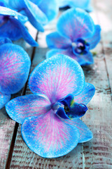Beautiful blue orchid flowers on wooden background, close up