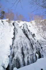 北海道　知床　オシンコシンの滝