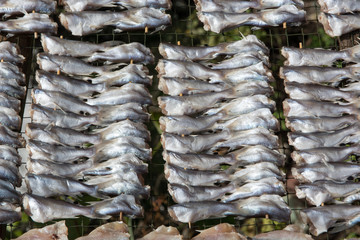 Salty sun dried fish, Thale Noi, Phatthalung, Thailand