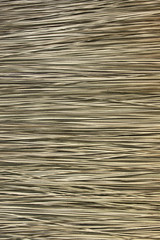 Bulrushes (Lepironia Articulata) are bundled and left to dry und