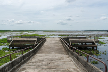 Talay noi (Songkla Lake), Patthalung , Thailand