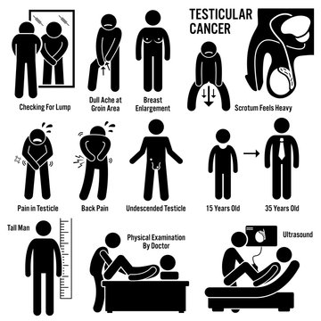 Testicular Testicles Testes Cancer Symptoms Causes Risk Factors Diagnosis Stick Figure Pictogram Icons