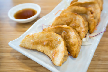 Japanese Fried Dumplings