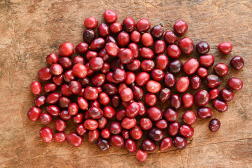 Close up of coffee beans ripening on wooden backgourng