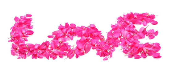 Fototapeta na wymiar Pink antigonon leptopus petals forming letter love on white