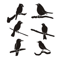 birds silhouette logo icon vector 