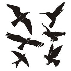 birds silhouette logo icon vector 