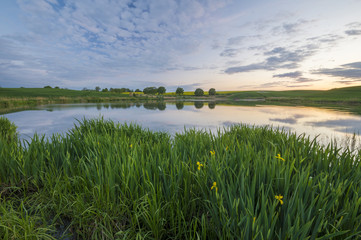 Liliowy staw © Mike Mareen