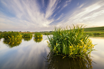 liliowe jezioro wśród wiosennych pól  © Mike Mareen