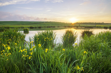 liliowe jezioro wśród wiosennych pól  © Mike Mareen