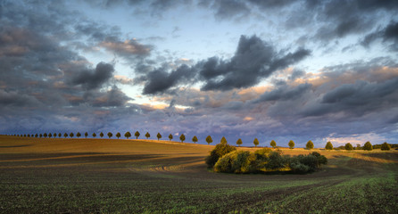 Burzowe chmury nad jesiennym polem © Mike Mareen