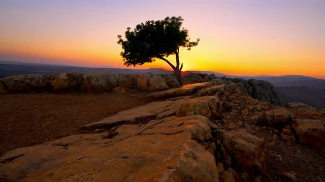 Sunrise sunset time-lapse of a lone tree from Mount Arbel near the Sea of Galilee.