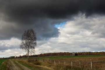 Samotne drzewo © marhad84