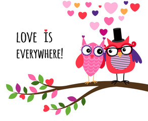 Owl Happy Valentines Day. Owl couple in love, on the branch together. Vector illustration