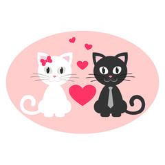 romantic cute couple kitten white and black sitting