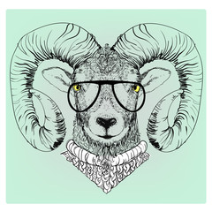 hipster portrait of ram with glasses