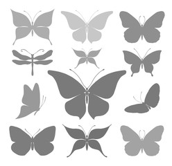 Obraz premium Butterflies graphic silhouettes