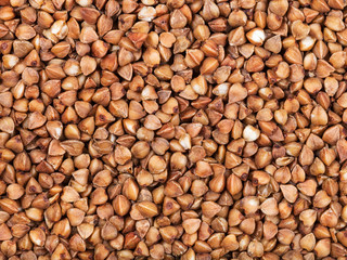 raw brown buckwheat grain