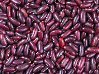 raw red kidney beans