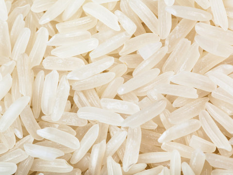 Rice and Money stock photo. Image of background, closeup - 79238502