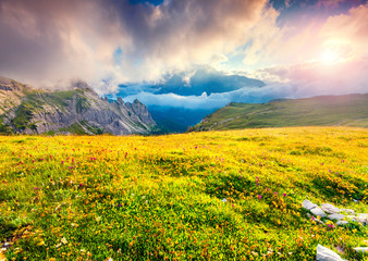 Obraz premium Colorful summer scene in the National Park Tre Cime De Lavaredo
