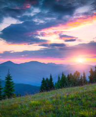 Colorful summer sunrise in the Carpathian mountains