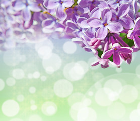Abstrackt background with with lilacs for greetings Happy Valent