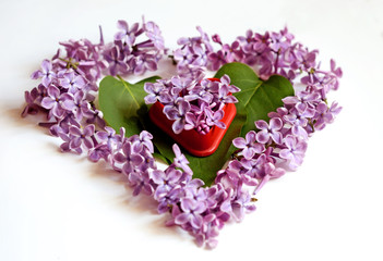 Leaves and petals lilac heart shaped (Valentine's Day, February