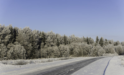 Road in the snow in the winter