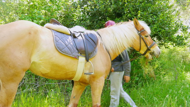 man learning horse riding, outdoor