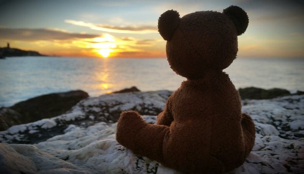 Teddy Bear with sunrise