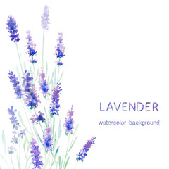 Watecolor lavender card - 100516912