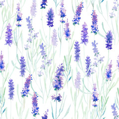 Lavender seamless pattern