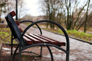 bench in the city spring