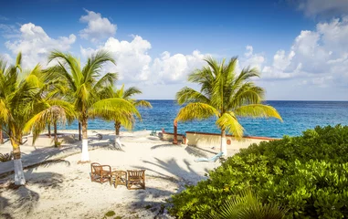 Photo sur Plexiglas Plage tropicale Plage de sable d& 39 une île tropicale avec palmiers
