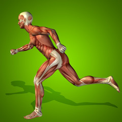Conceptual 3D human man health anatomy