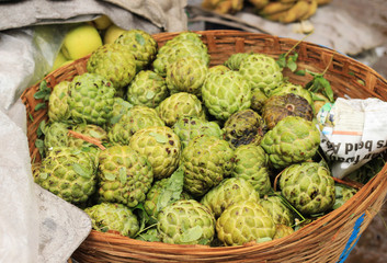 exotic fruits sugar apples or annona lie in a large wicker basket vine on market