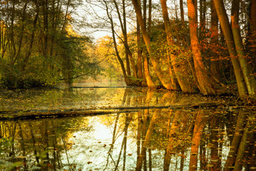 Deutschland, Hamburg, Teich im Herbst