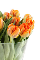 Bunch of orange tulips