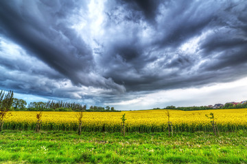 Fototapeta na wymiar Summer storm over the meadow in Poland