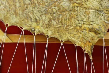 Traditional processing of animal skin