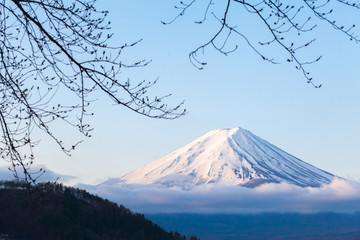 Fuji mountain