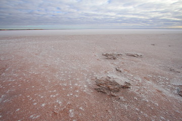 Salt lake Hart in South Australia