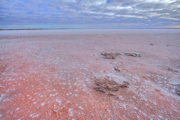 Fototapeta na wymiar Salt lake Hart in South Australia