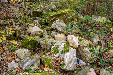 City park rockery at November