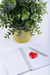 Valentines day red heart, notebook and green plant