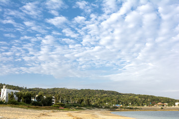 恩納村の砂浜と緑と青空